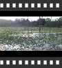 ../pictures/Beaver Marsh/DSCF9057_1_small_icon.jpg